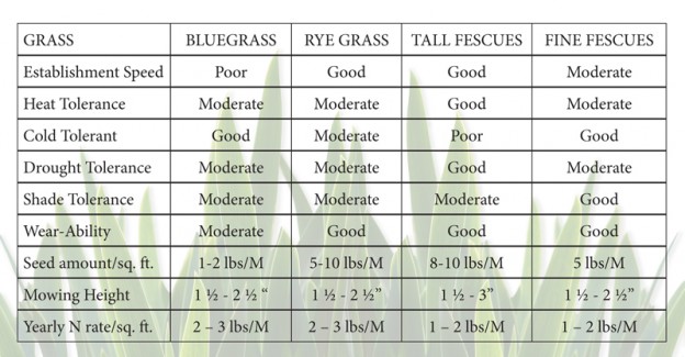 grass_chart | Ciminelli's Landscape Services, Inc.